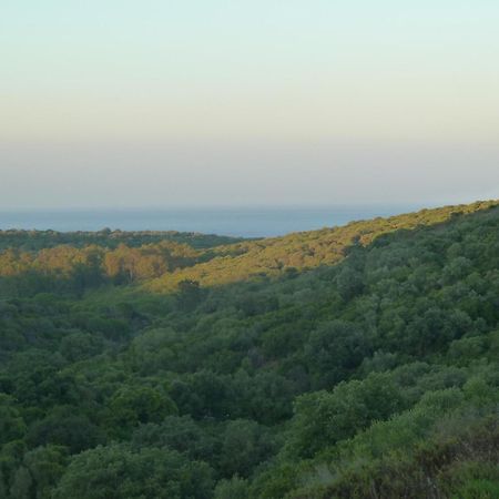 Alcaidesa Golf And Nature Apartment Сан Роке Екстериор снимка